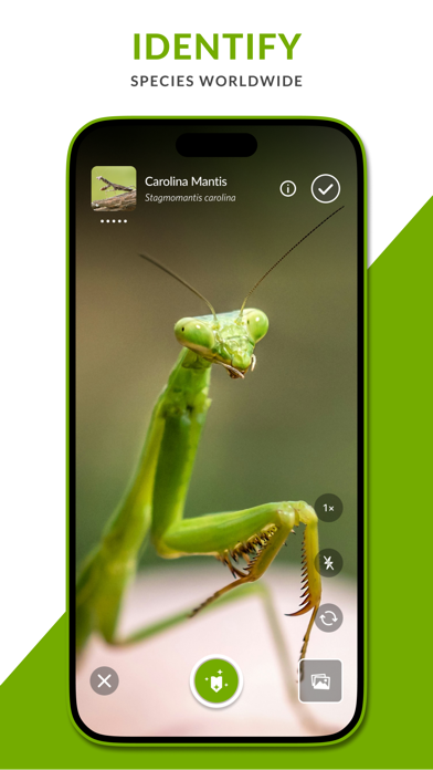 iNaturalist screenshot 1