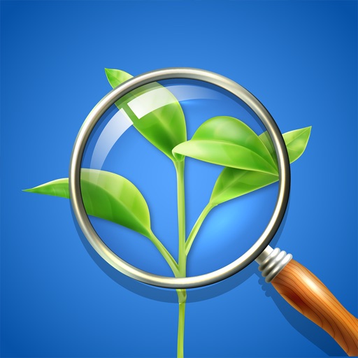 Plant Identifier & Care Guide
