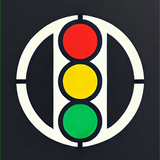 DriveSafe Pro