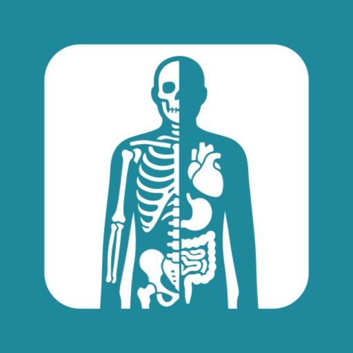 Anatomy & Physiology Cards