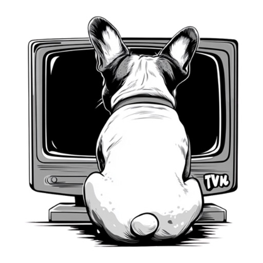 Wow Wee TV