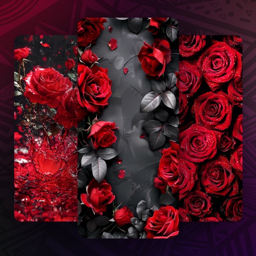 Red Rose Wallpapers Flowers
