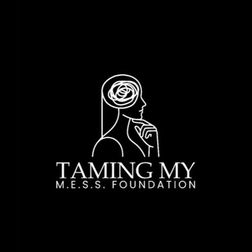 Taming My M.E.S.S. Foundation